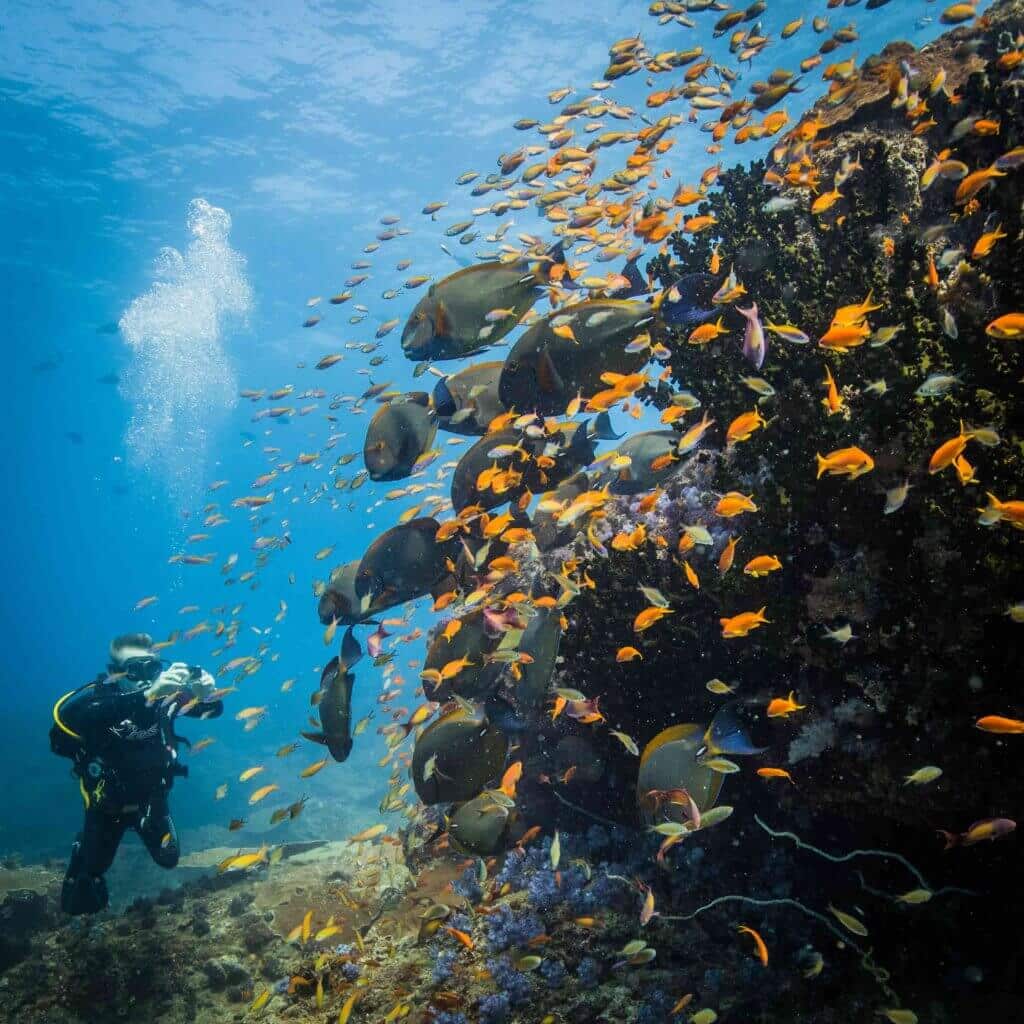 benguerra island